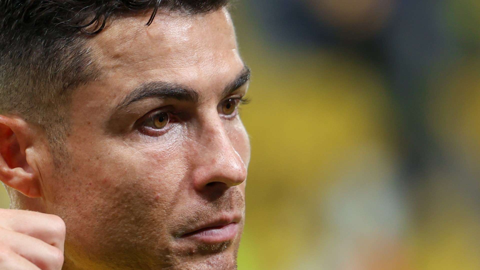 切带来了荣 切带来了荣